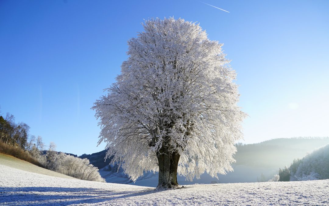 L’hiver et la réflexologie plantaire