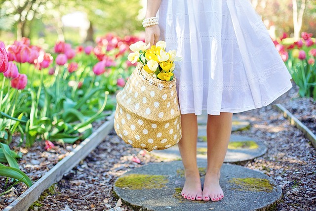 Newsletter de Printemps 2025
