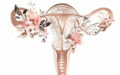 Comprendre son cycle féminin et agir naturellement
